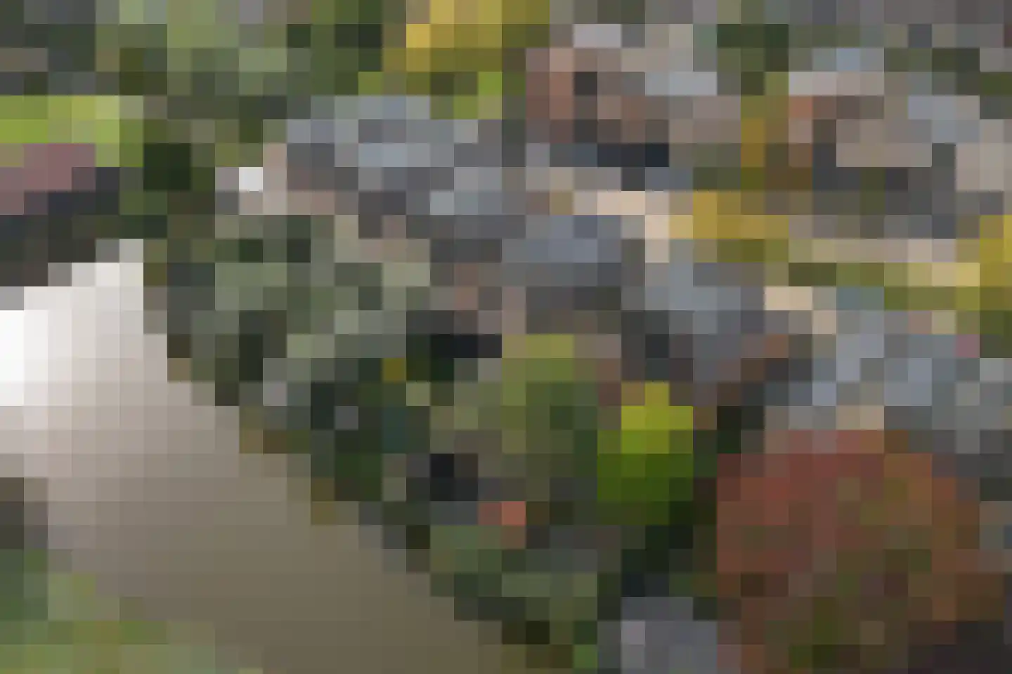 Franckstraat 8 Capelle aan den IJssel thumbnail 56
