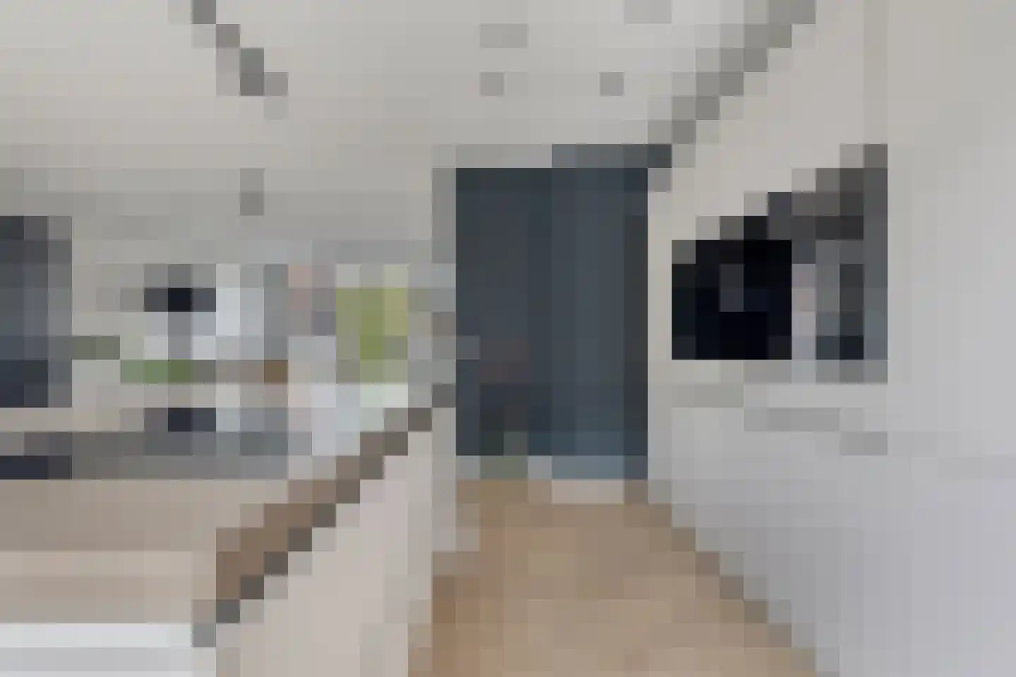 François Brandthof 11 Tilburg thumbnail 10