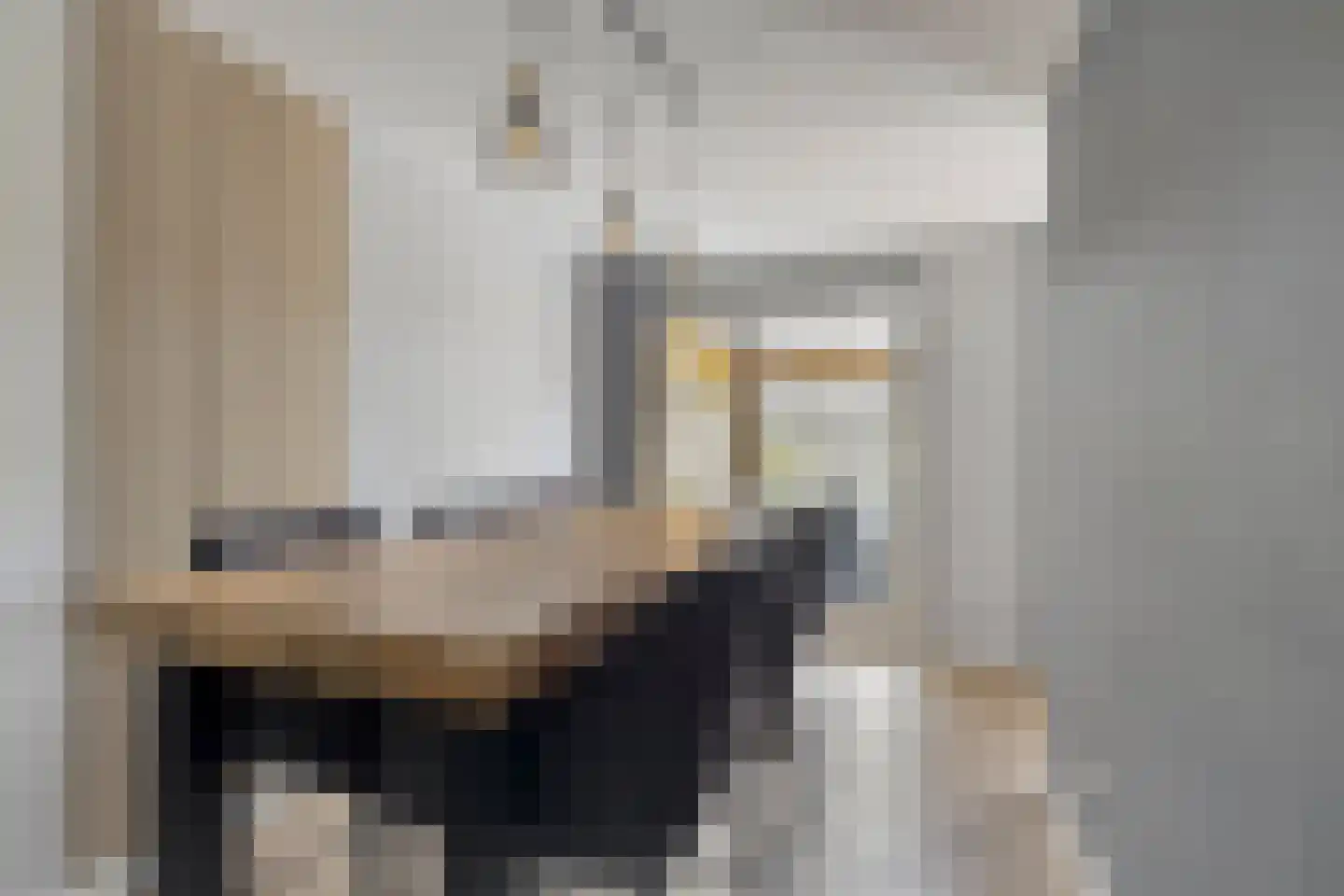 François Brandthof 11 Tilburg thumbnail 14