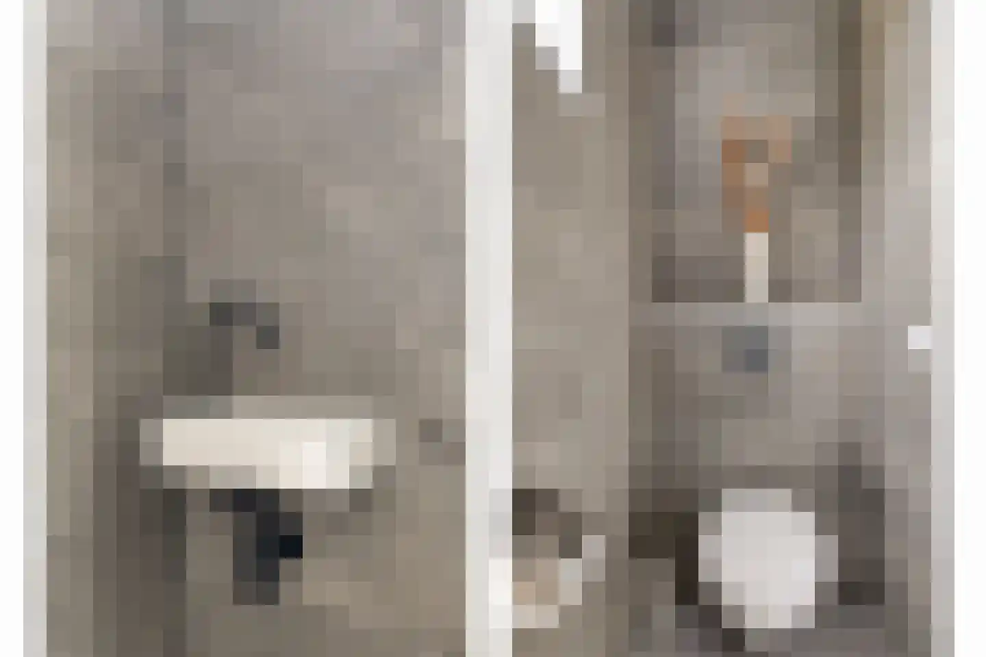 François Brandthof 11 Tilburg thumbnail 16