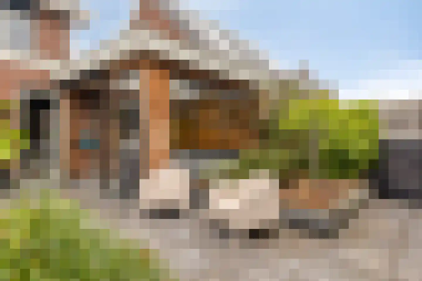 François Brandthof 11 Tilburg thumbnail 34