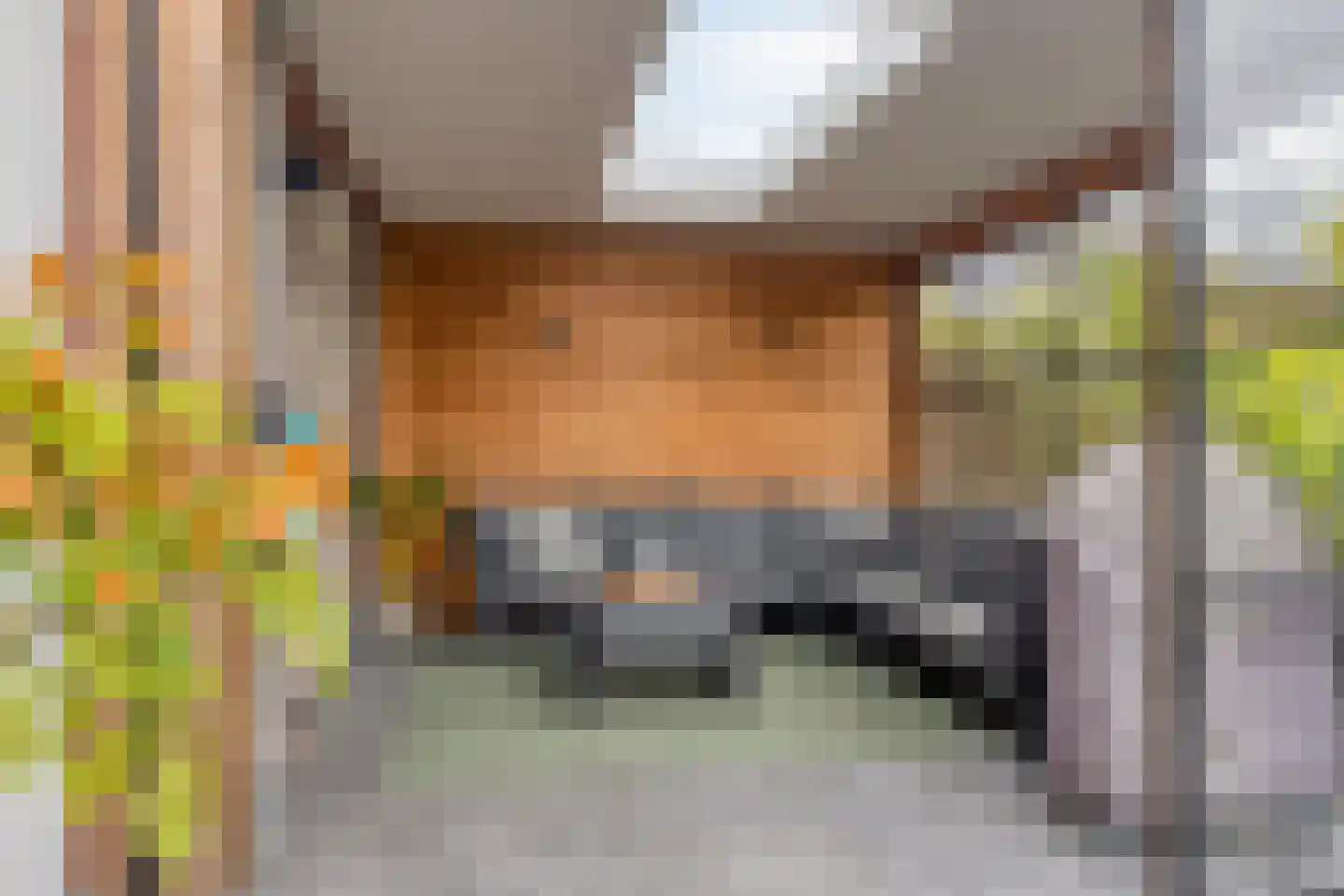 François Brandthof 11 Tilburg thumbnail 35