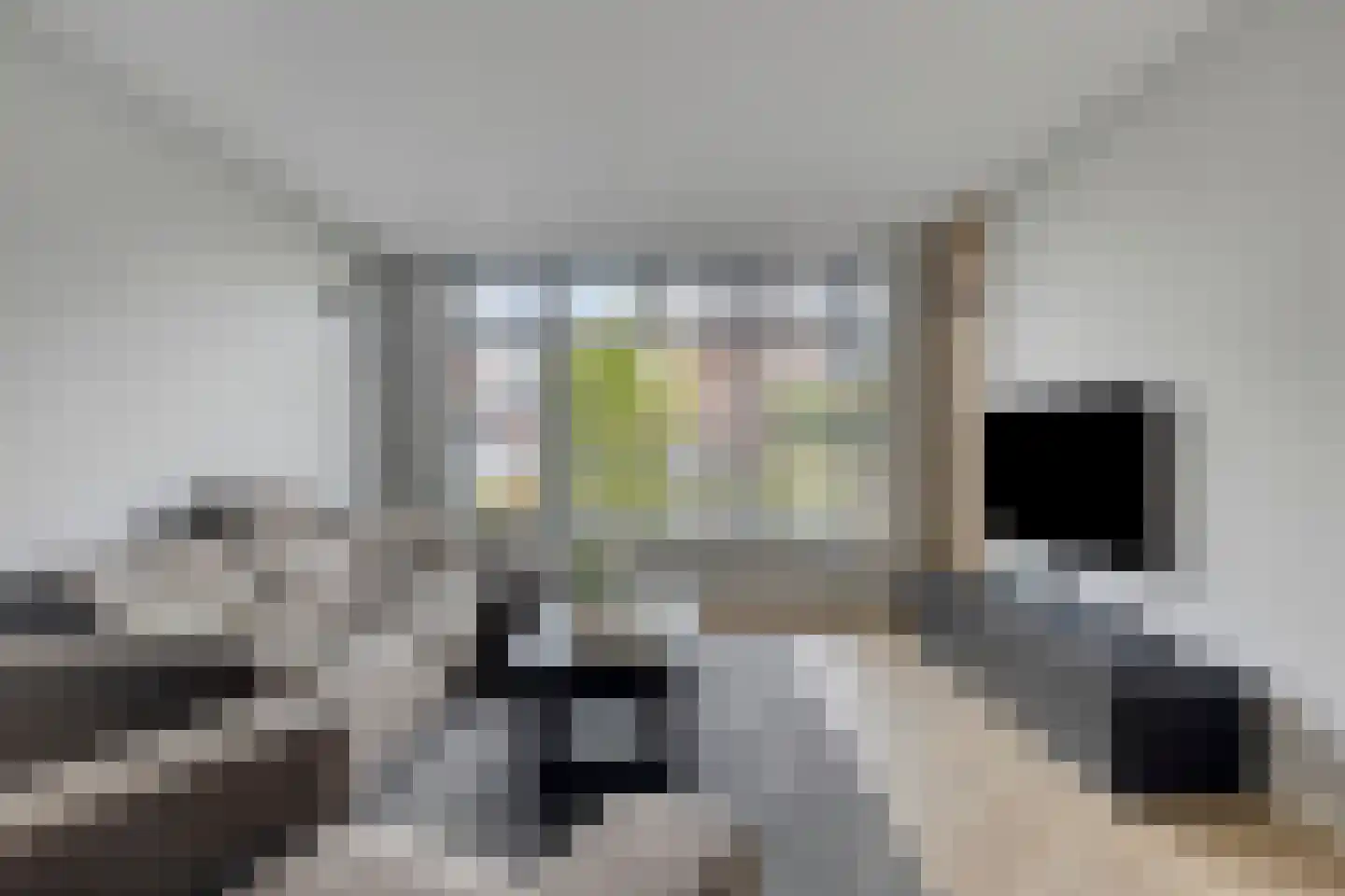 François Brandthof 11 Tilburg thumbnail 4