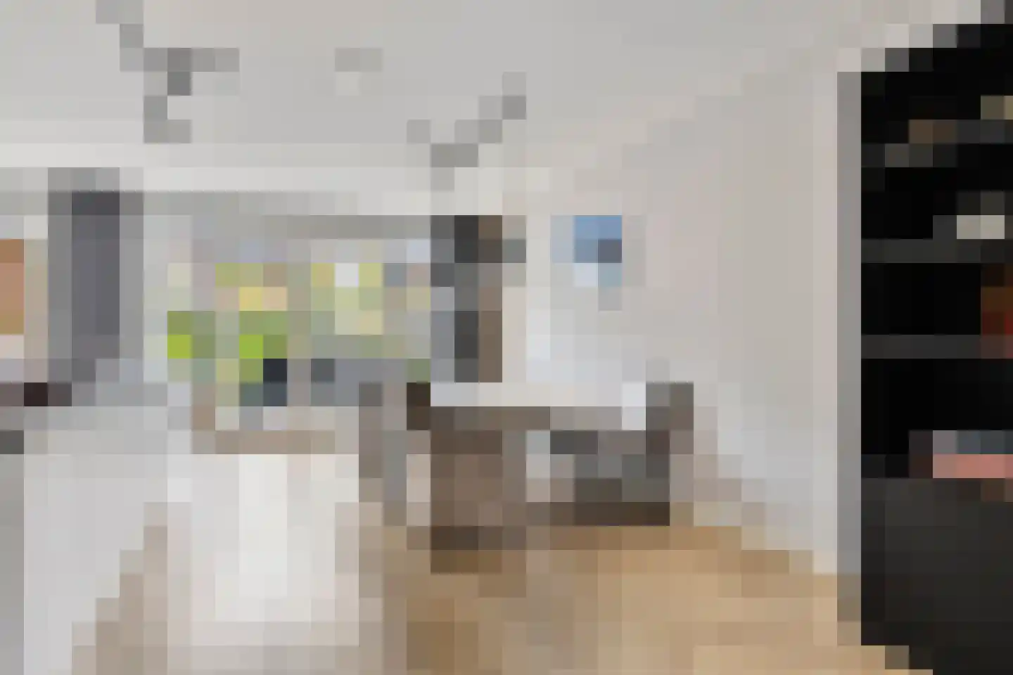 François Brandthof 11 Tilburg thumbnail 7