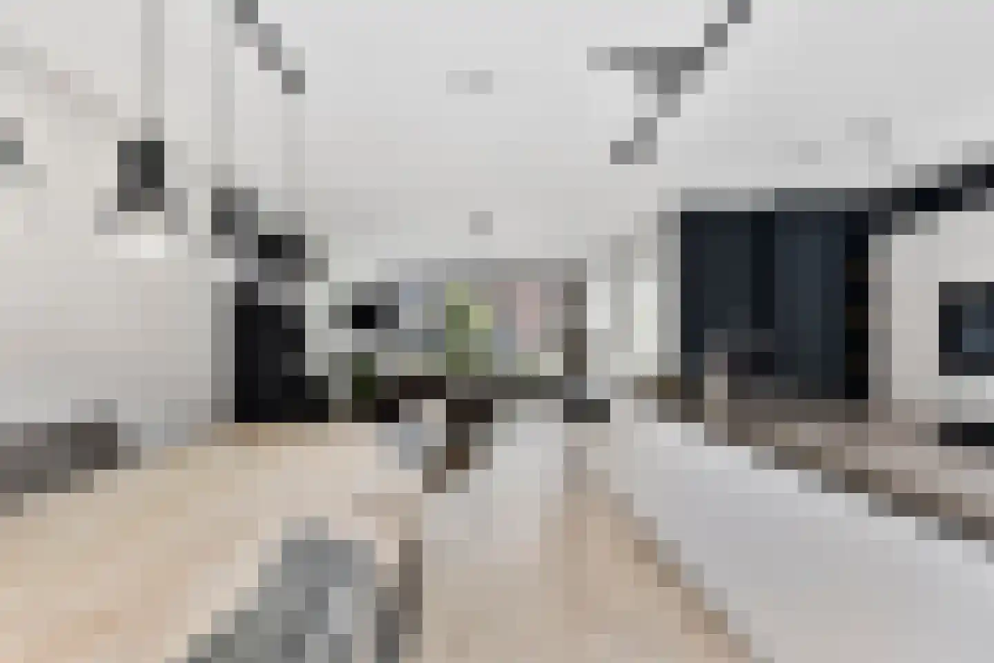 François Brandthof 11 Tilburg thumbnail 8
