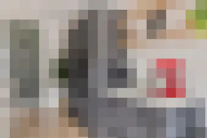 François Brandthof 13 Tilburg thumbnail 10