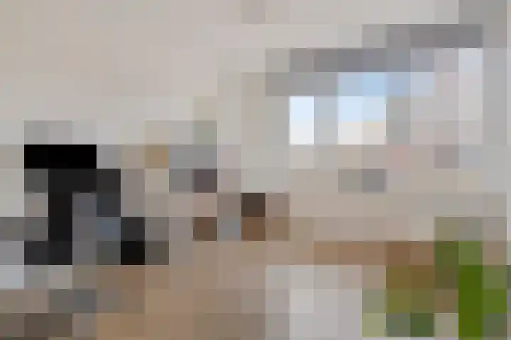 François Brandthof 13 Tilburg thumbnail 18
