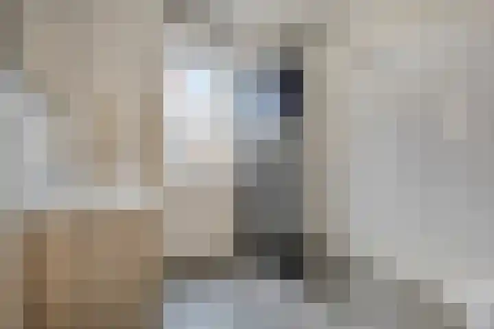 François Brandthof 13 Tilburg thumbnail 20