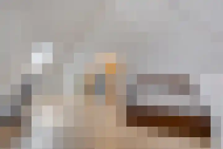 François Brandthof 13 Tilburg thumbnail 23