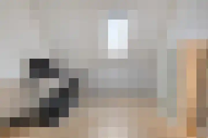 François Brandthof 13 Tilburg thumbnail 24