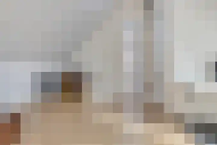 François Brandthof 13 Tilburg thumbnail 25