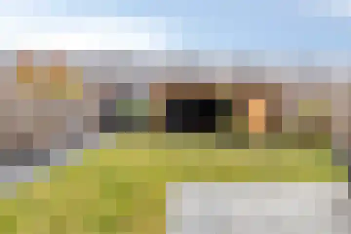 François Brandthof 13 Tilburg thumbnail 27
