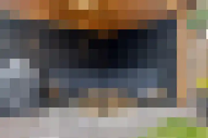 François Brandthof 13 Tilburg thumbnail 28