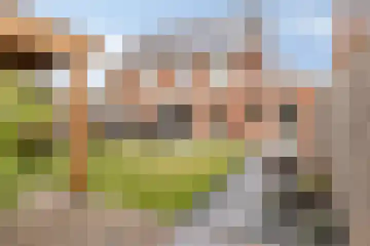 François Brandthof 13 Tilburg thumbnail 29