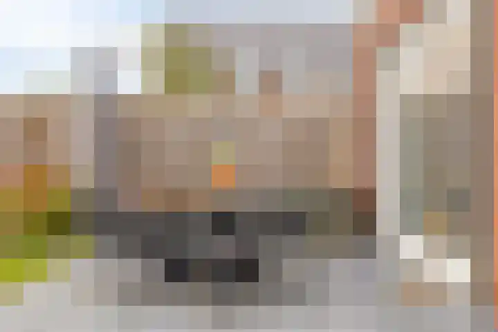 François Brandthof 13 Tilburg thumbnail 31