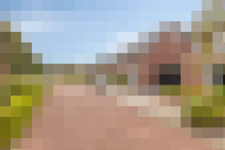 François Brandthof 13 Tilburg thumbnail 35