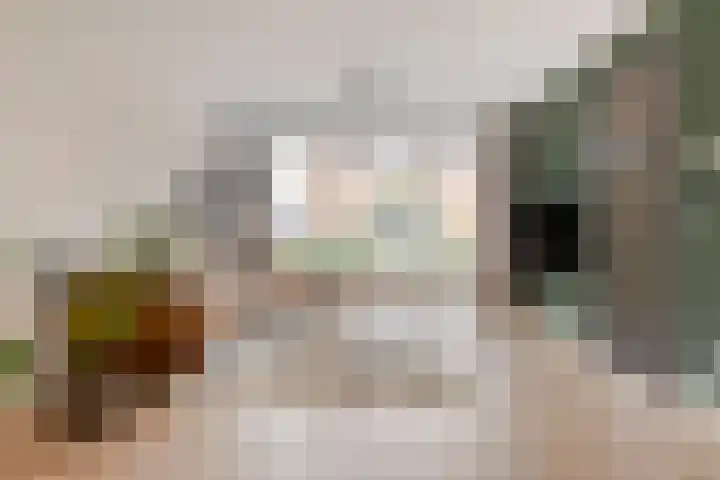 François Brandthof 13 Tilburg thumbnail 4