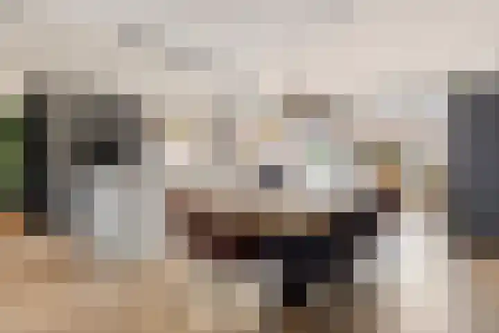 François Brandthof 13 Tilburg thumbnail 7