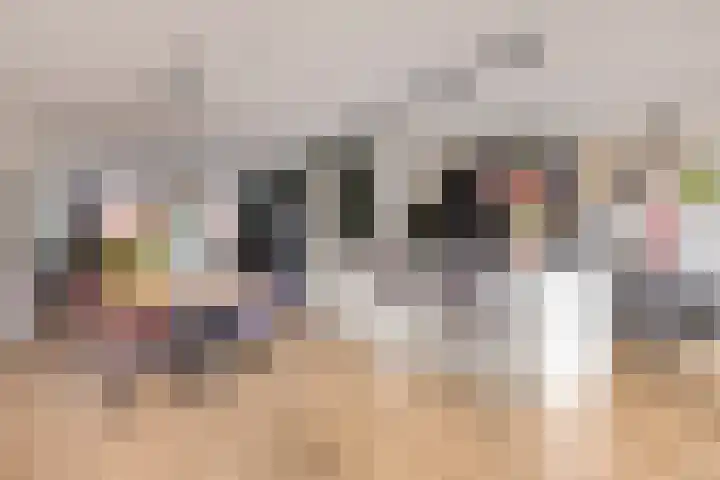 François Brandthof 13 Tilburg thumbnail 8