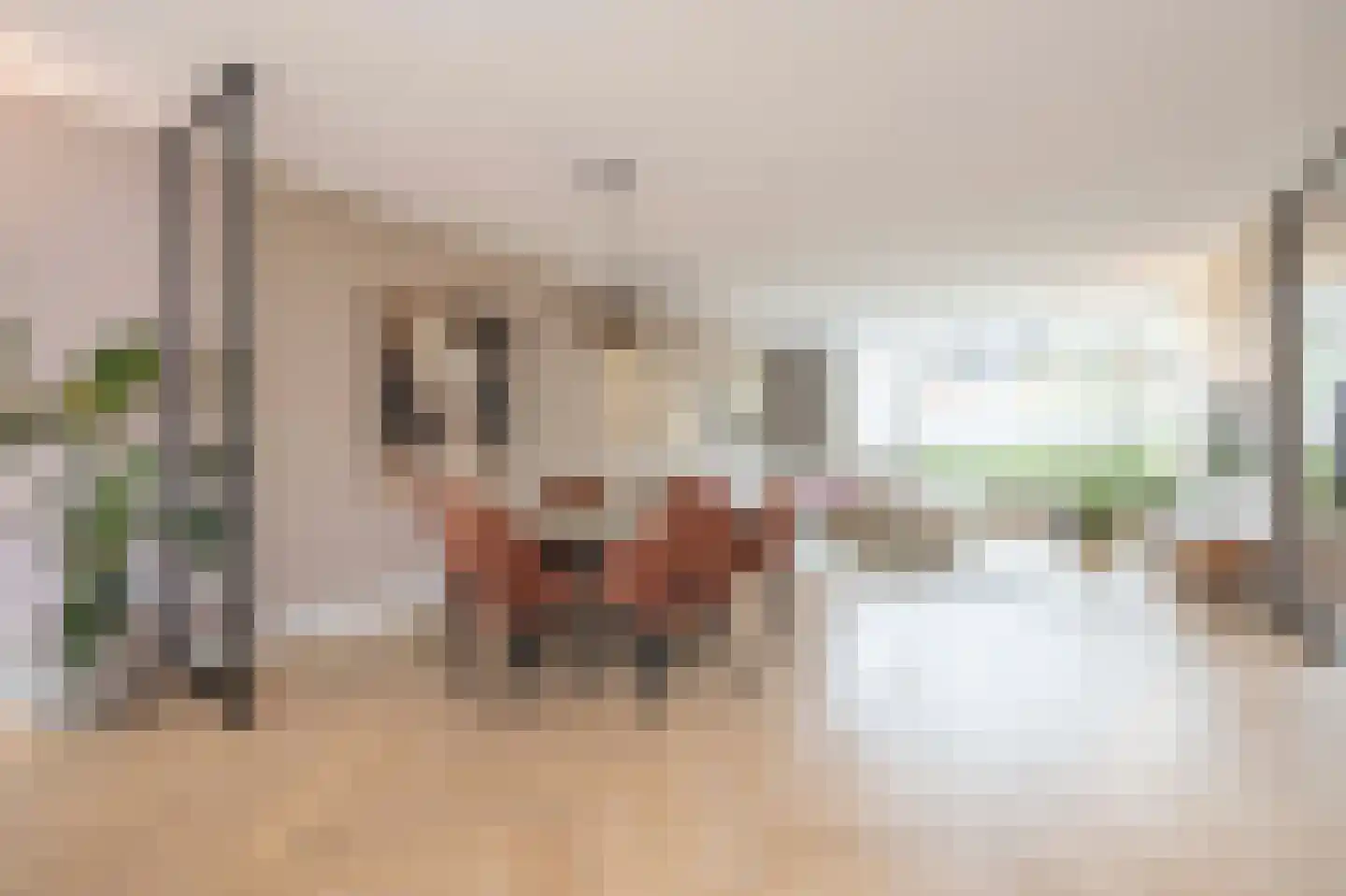 François Brandthof 19 Tilburg thumbnail 10