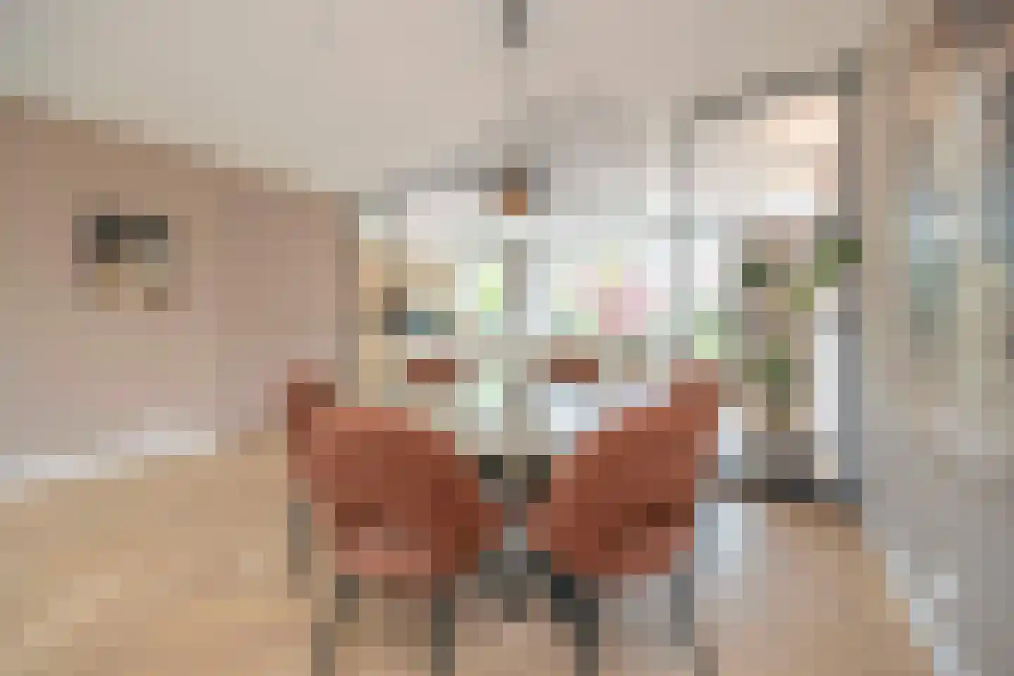 François Brandthof 19 Tilburg thumbnail 13