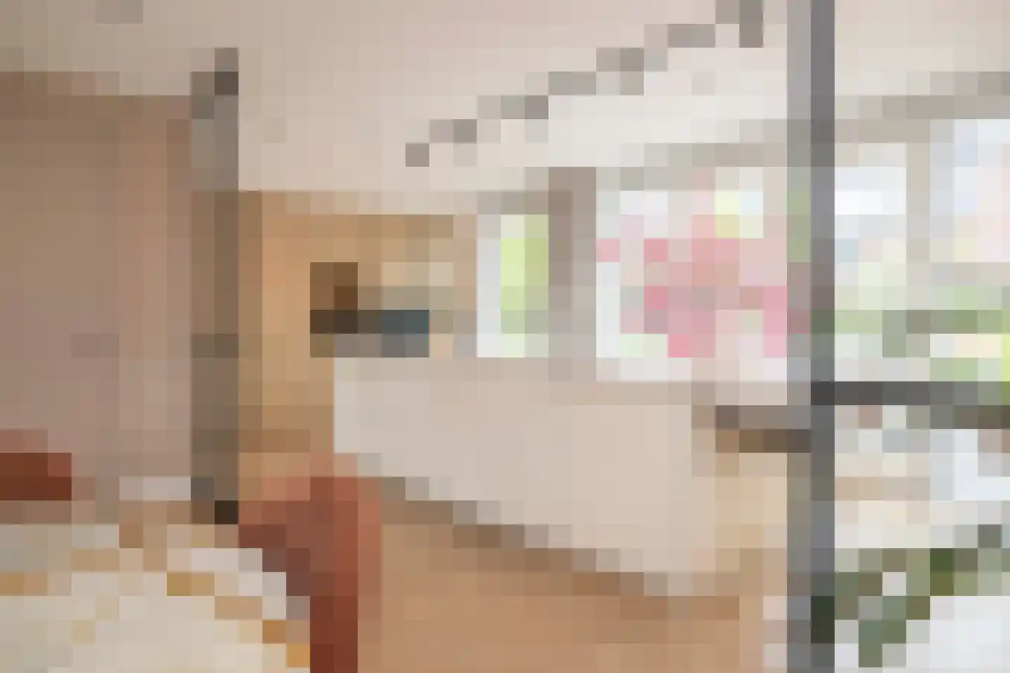 François Brandthof 19 Tilburg thumbnail 14