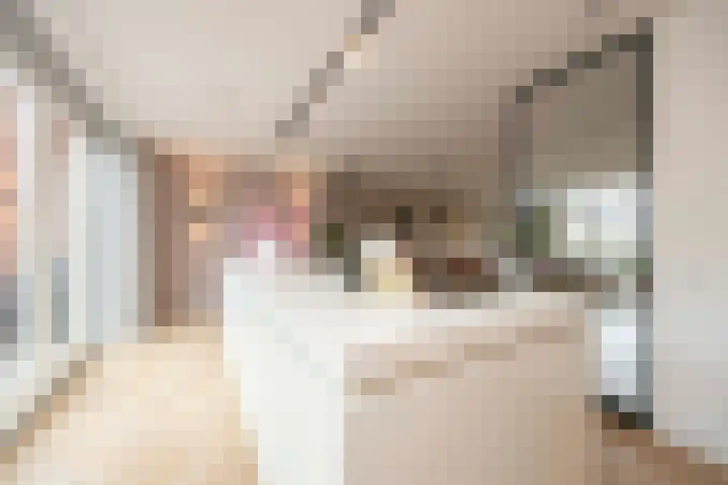 François Brandthof 19 Tilburg thumbnail 15