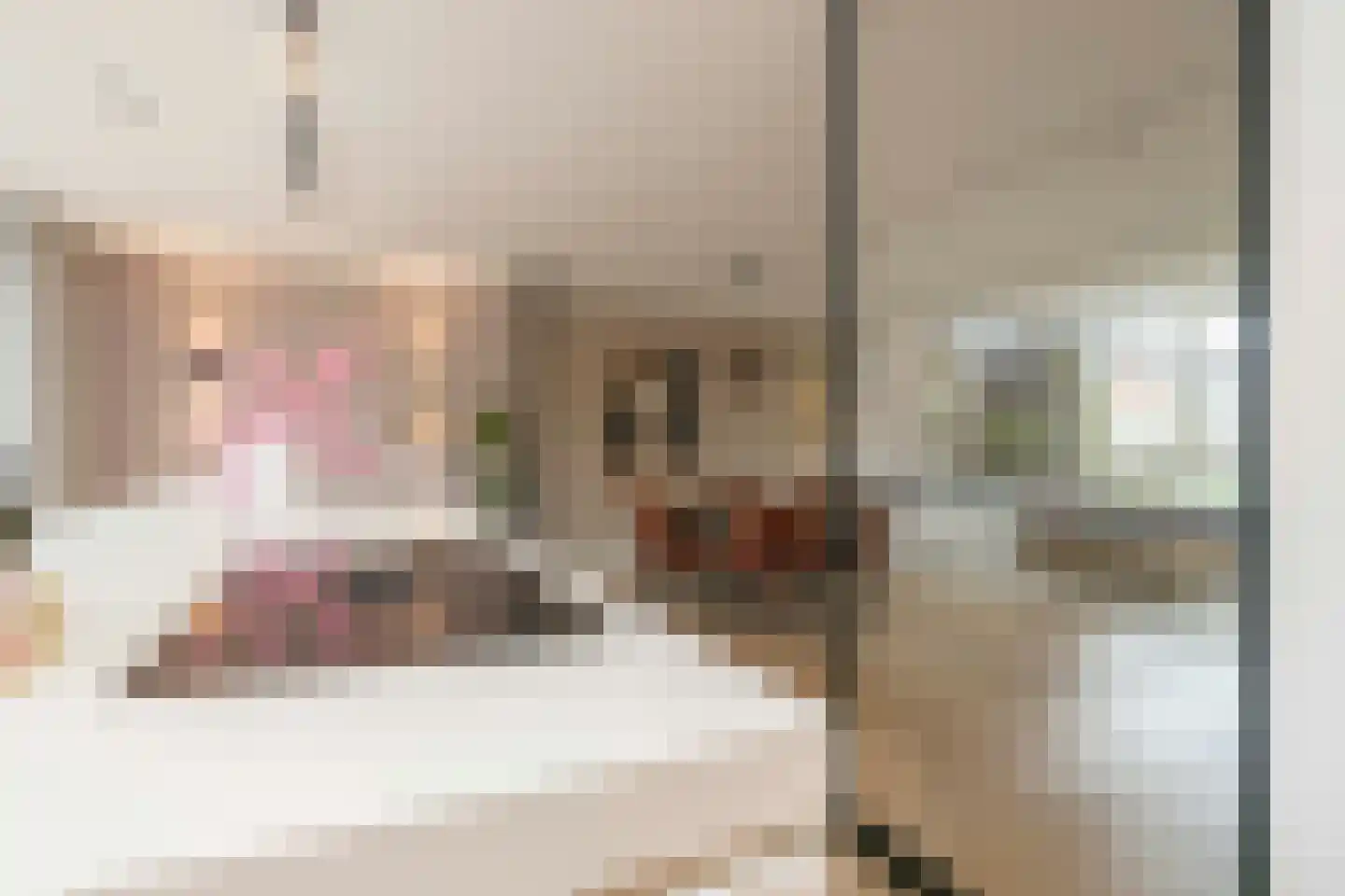François Brandthof 19 Tilburg thumbnail 16