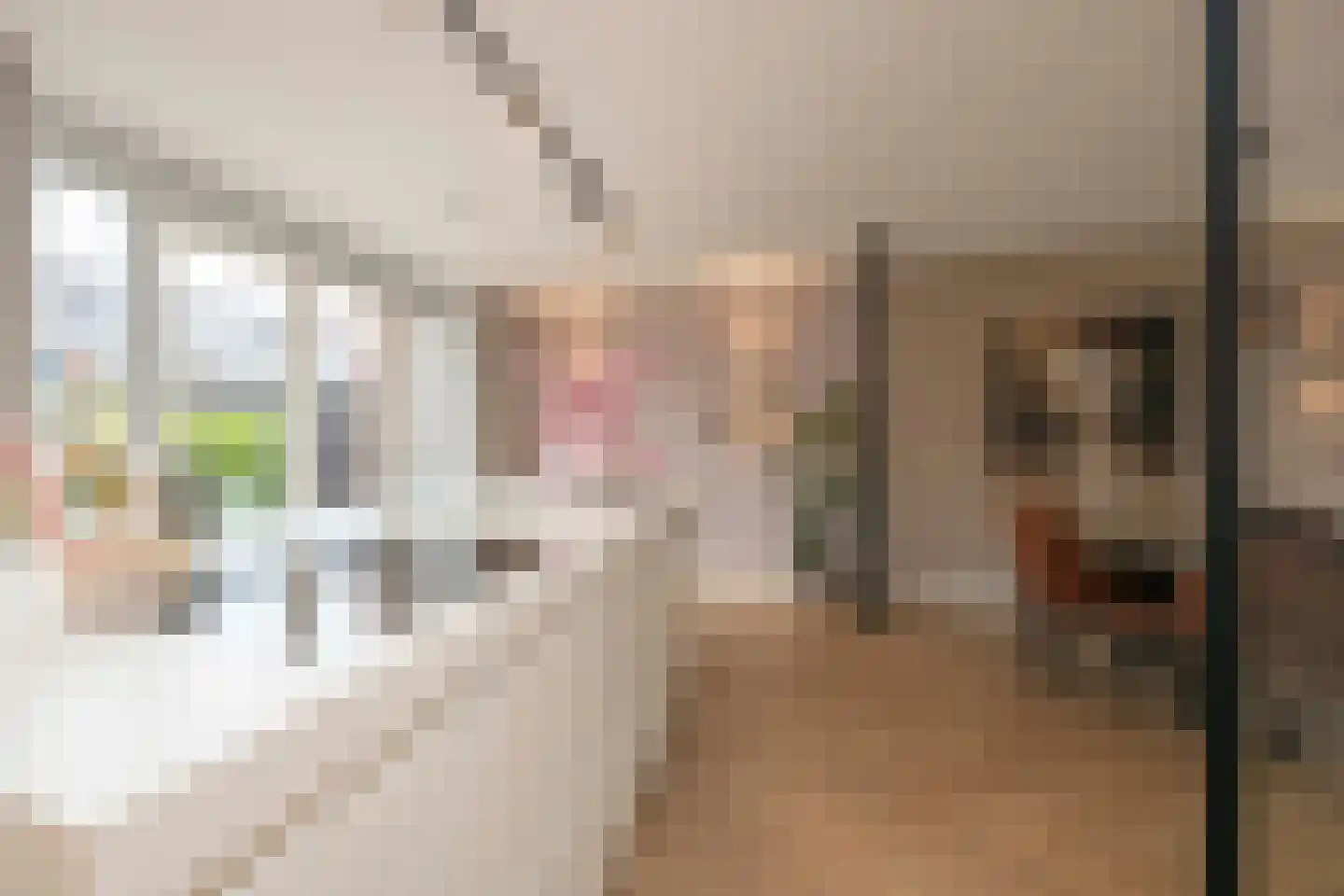 François Brandthof 19 Tilburg thumbnail 17