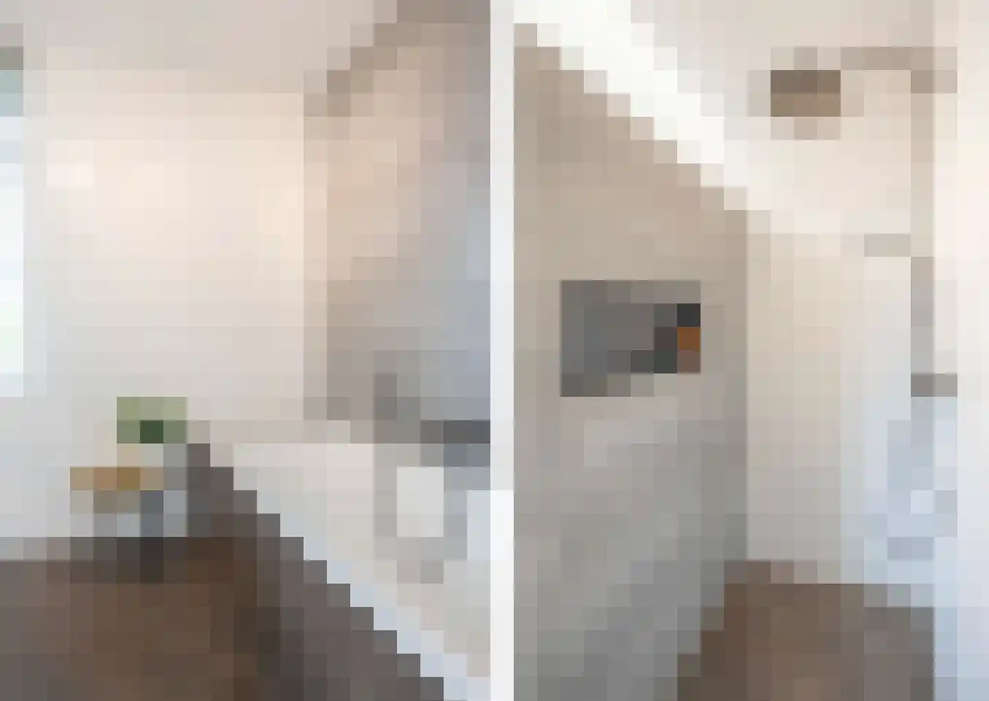 François Brandthof 19 Tilburg thumbnail 31
