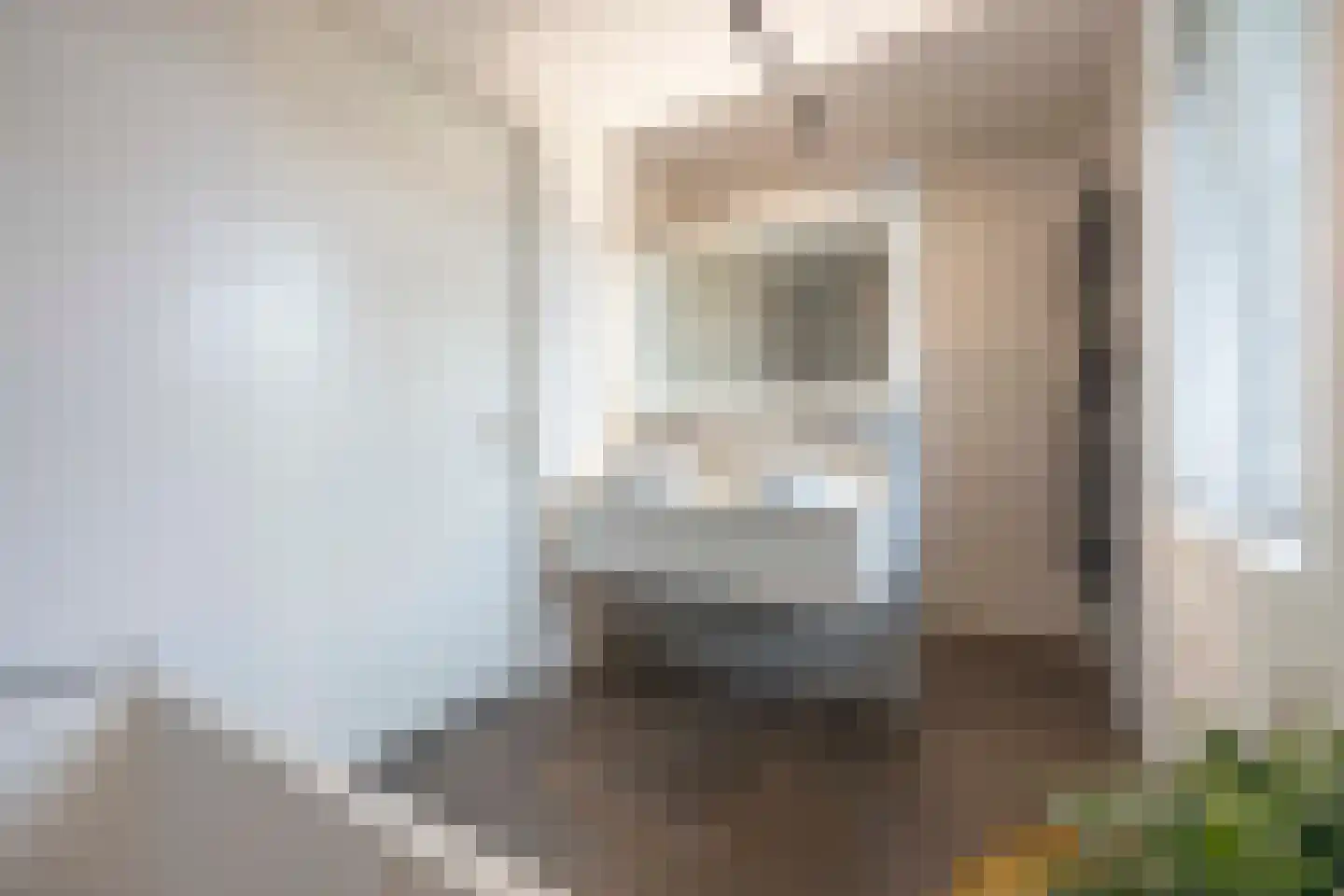 François Brandthof 19 Tilburg thumbnail 32