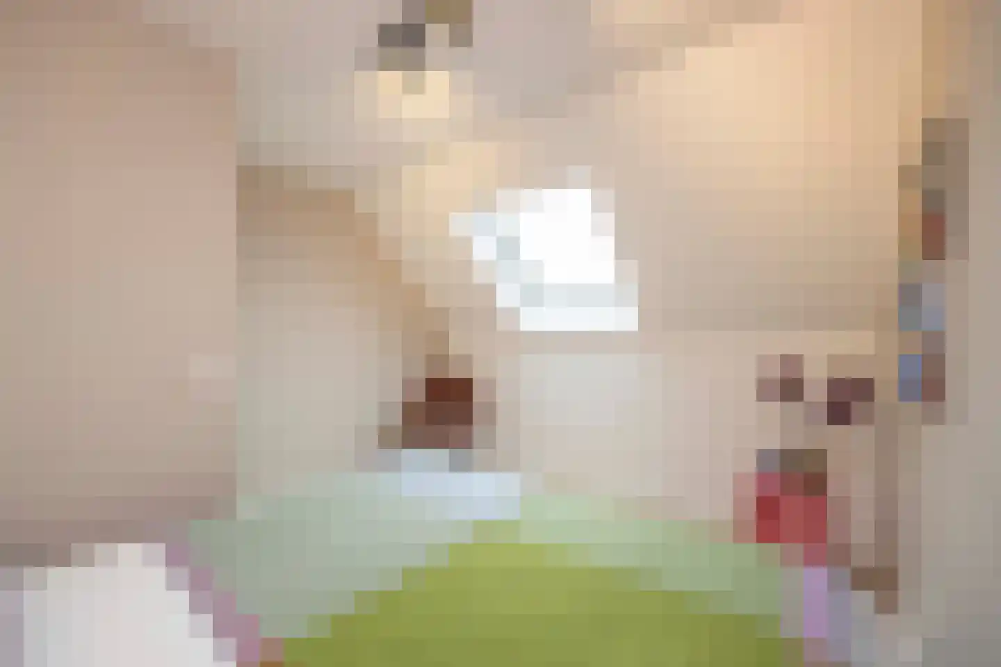 François Brandthof 19 Tilburg thumbnail 37