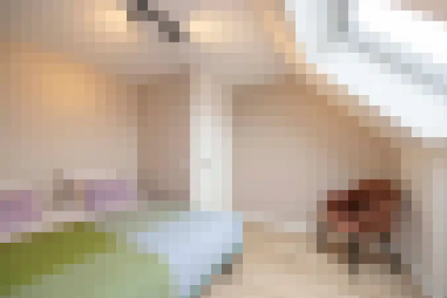 François Brandthof 19 Tilburg thumbnail 38