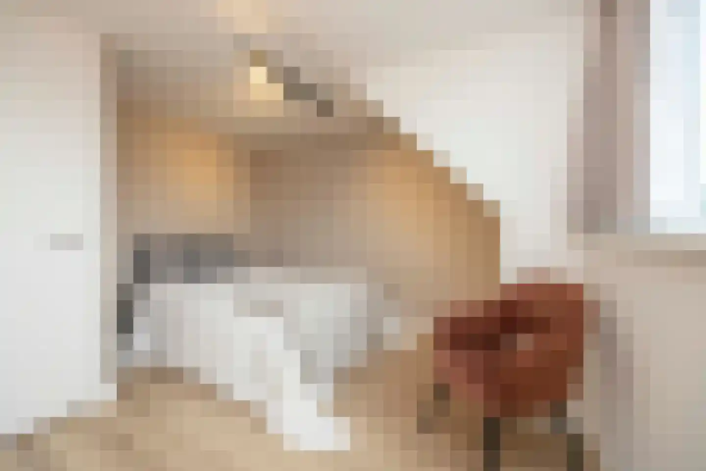 François Brandthof 19 Tilburg thumbnail 39