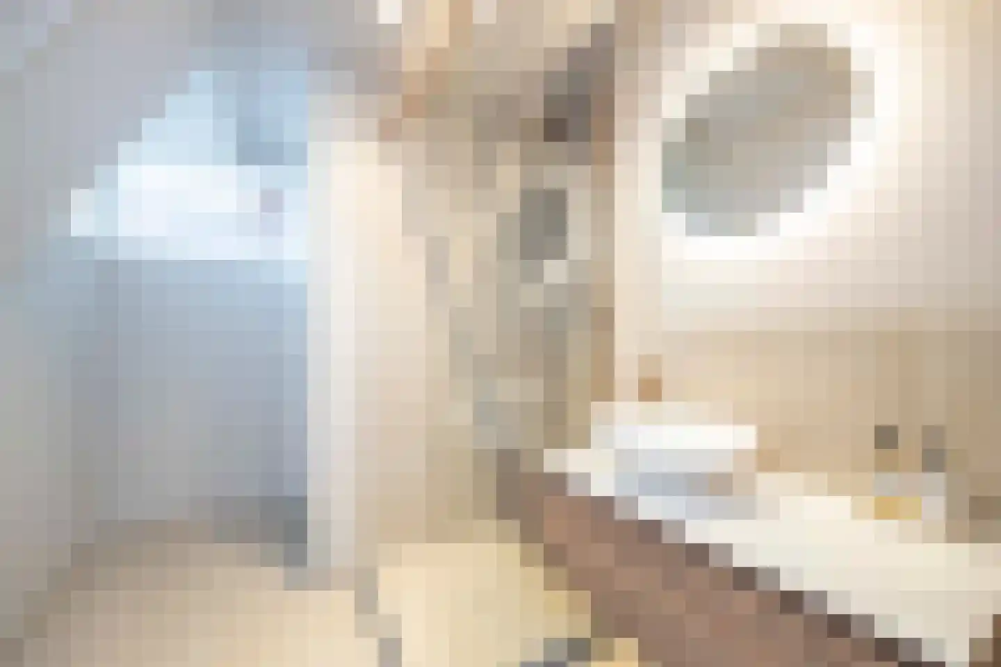 François Brandthof 19 Tilburg thumbnail 43