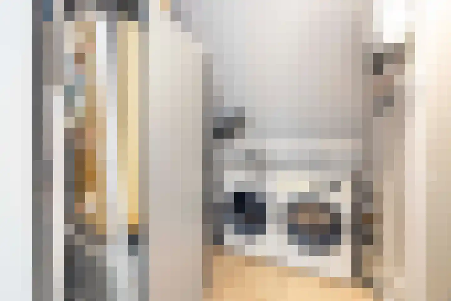François Brandthof 19 Tilburg thumbnail 44