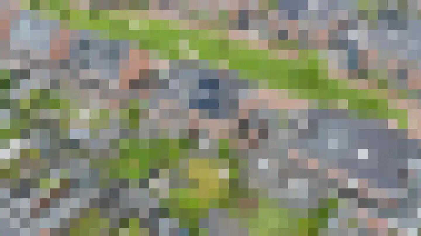 François Brandthof 19 Tilburg thumbnail 57