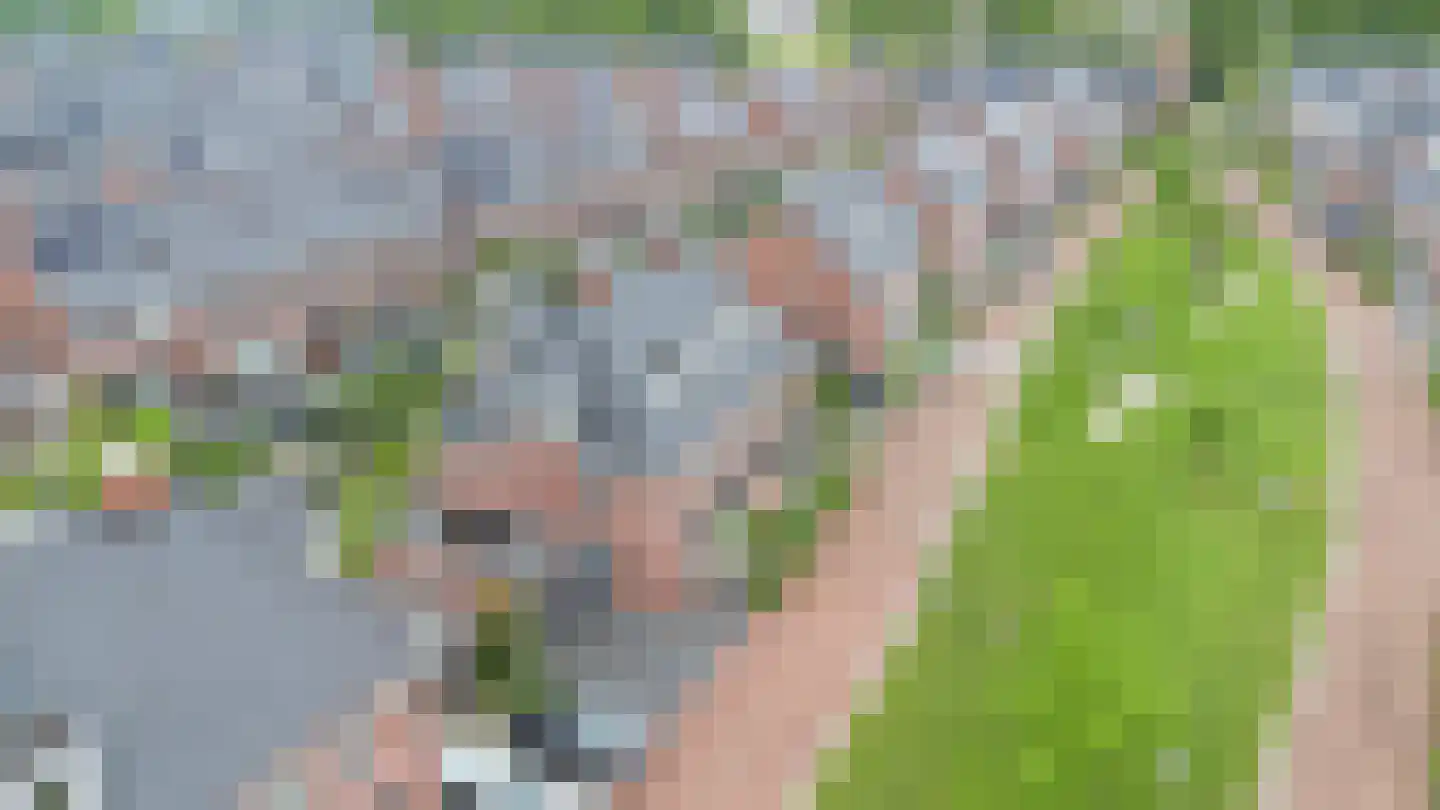 François Brandthof 19 Tilburg thumbnail 58