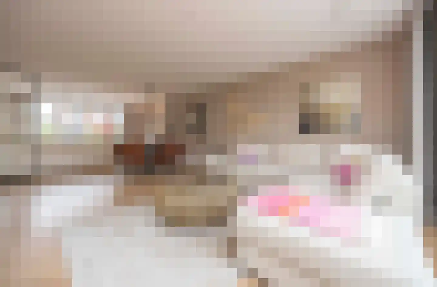 François Brandthof 19 Tilburg thumbnail 6