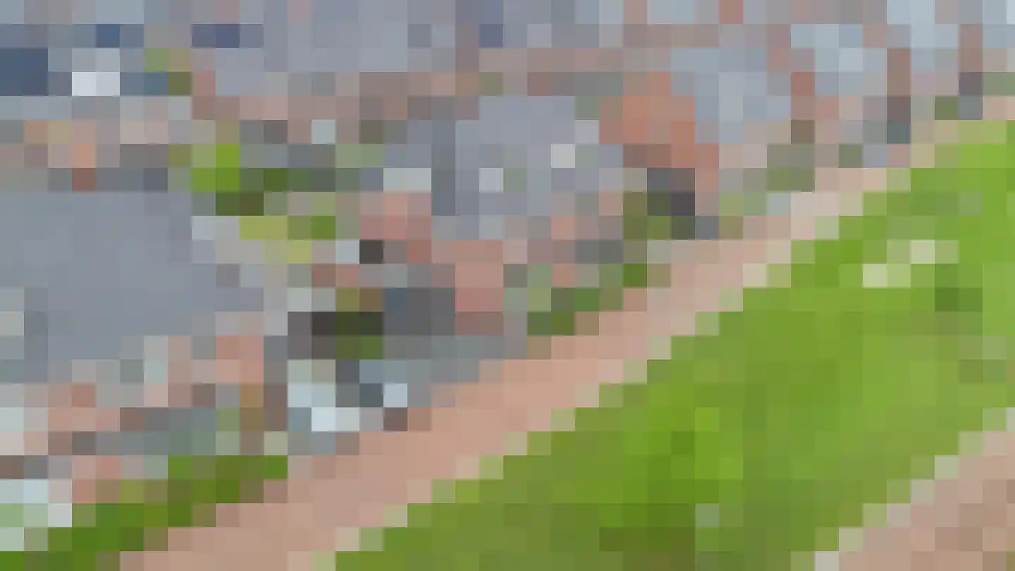François Brandthof 19 Tilburg thumbnail 61