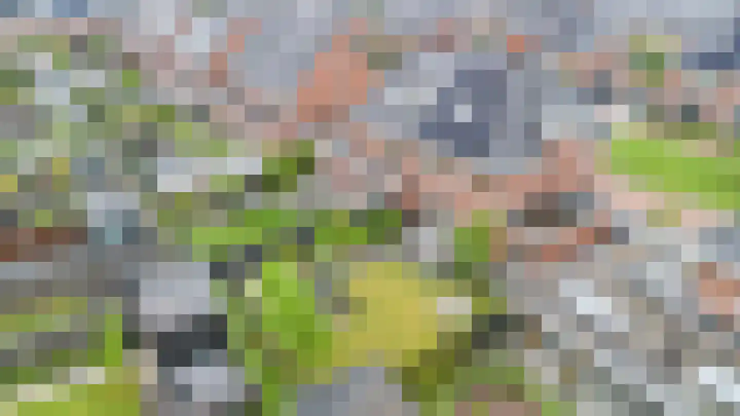 François Brandthof 19 Tilburg thumbnail 62
