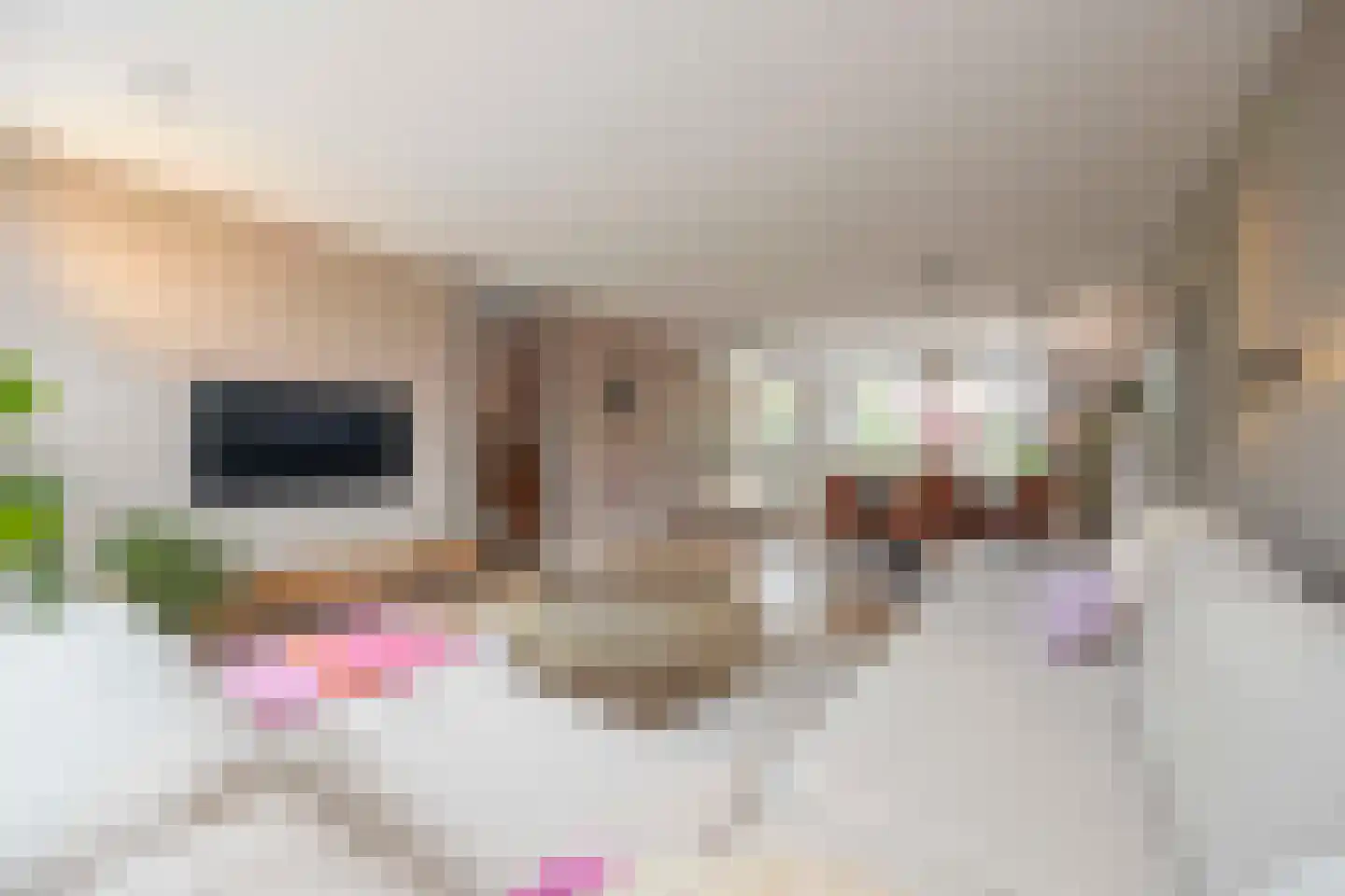 François Brandthof 19 Tilburg thumbnail 7