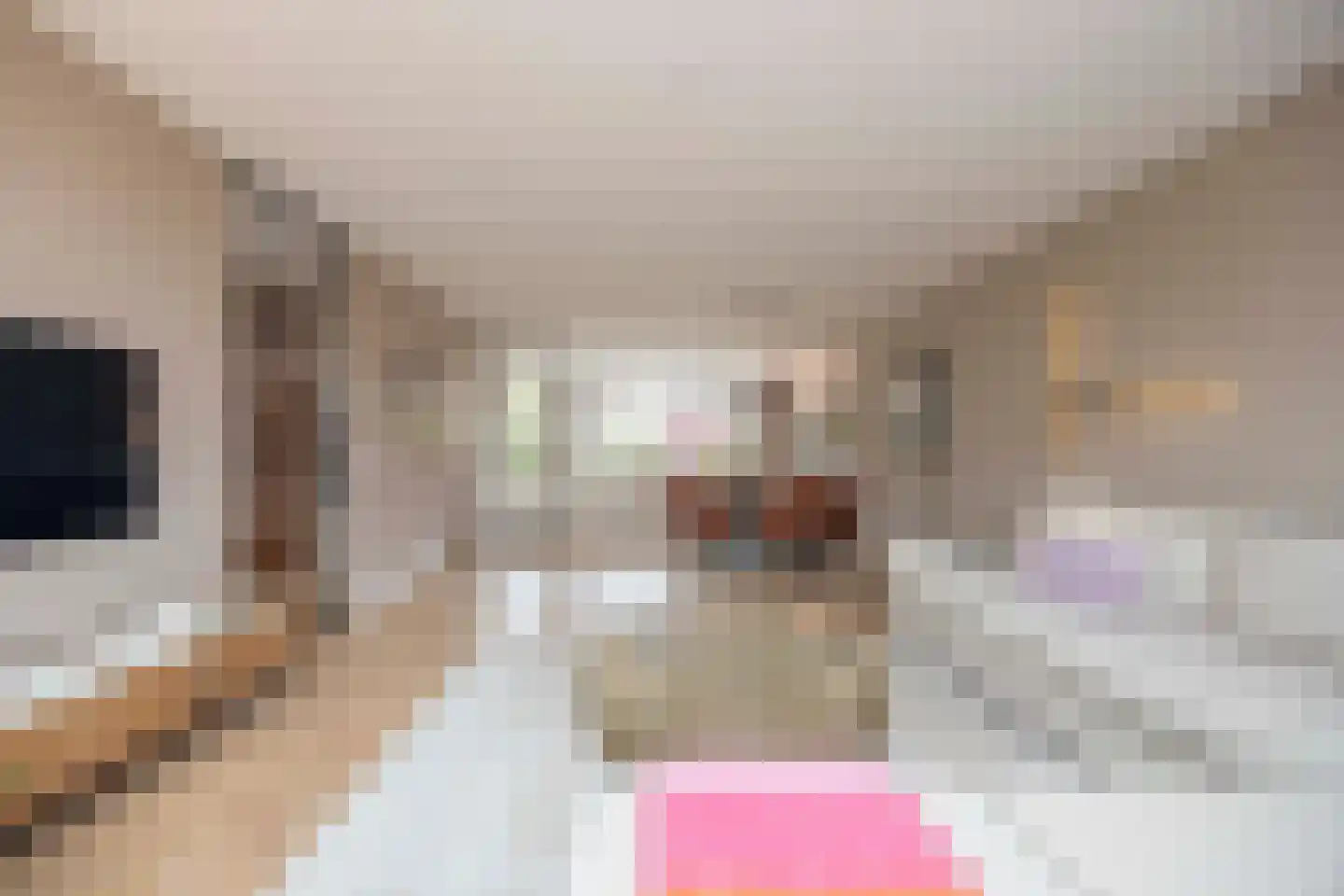François Brandthof 19 Tilburg thumbnail 8