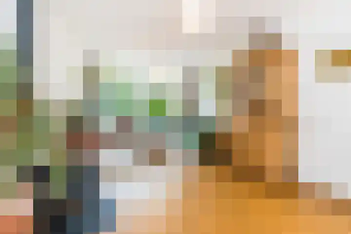 François Haverschmidtlaan 55 Schiedam thumbnail 12