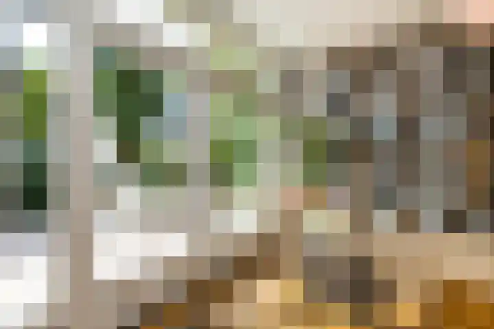 François Haverschmidtlaan 55 Schiedam thumbnail 20