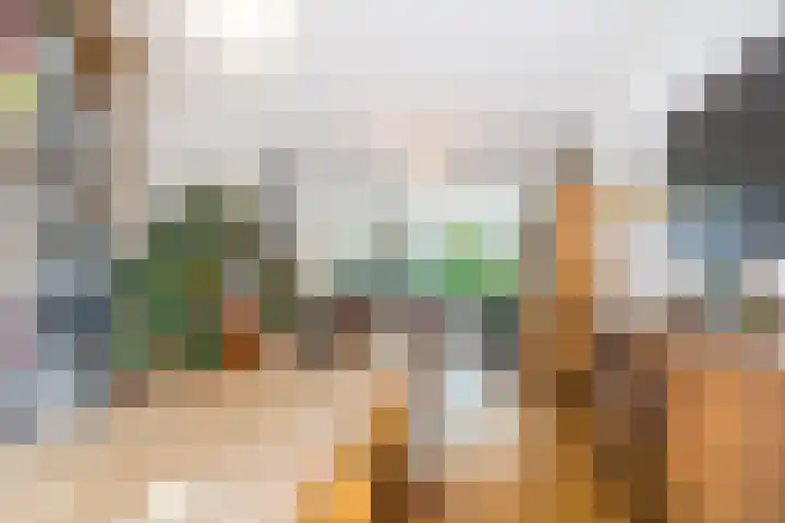 François Haverschmidtlaan 55 Schiedam thumbnail 21
