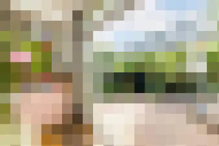 François Haverschmidtlaan 55 Schiedam thumbnail 28