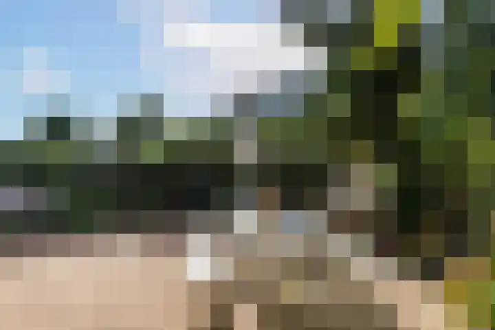 François Haverschmidtlaan 55 Schiedam thumbnail 29