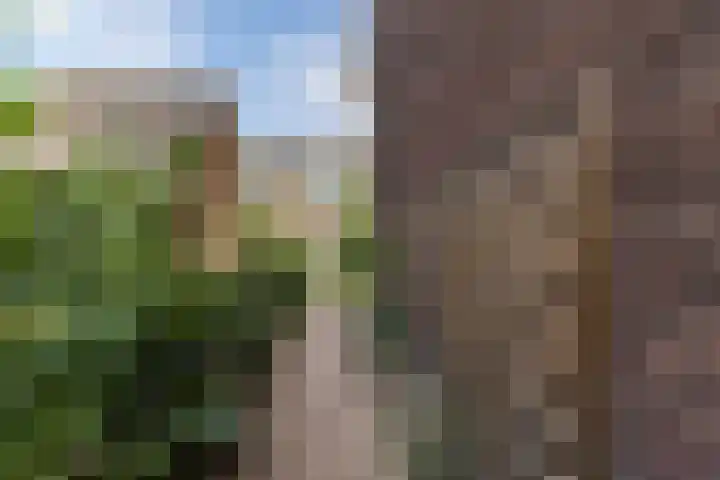 François Haverschmidtlaan 55 Schiedam thumbnail 33