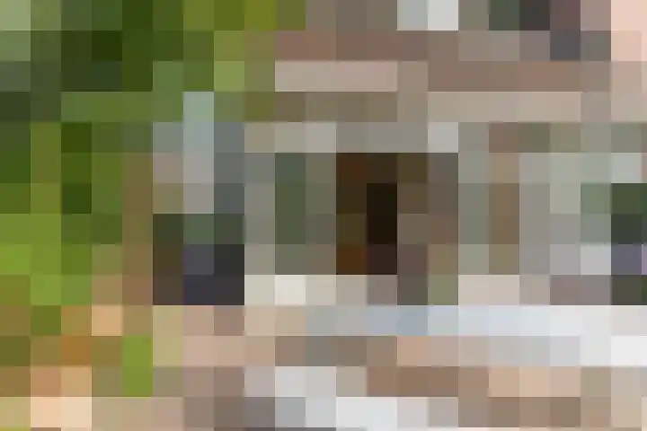 François Haverschmidtlaan 55 Schiedam thumbnail 34